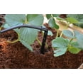 thumbnail image 4 of Kit d'irrigation goutte à goutte pour serre Canopia by Palram, 4 of 6