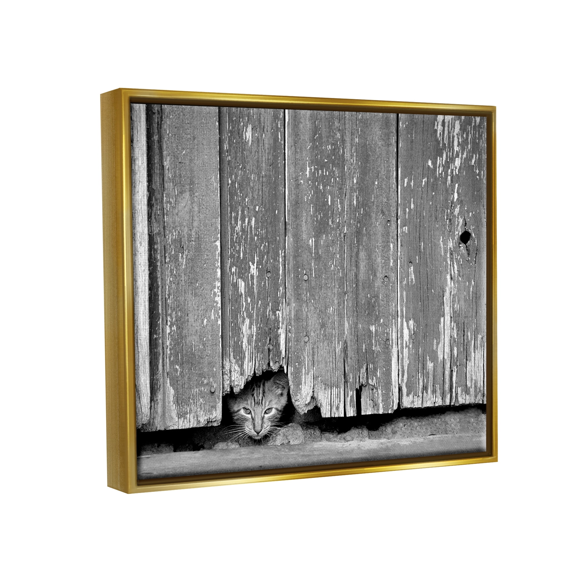 Stupell Industries Rustic Cat Peeking Animals & Insects Photography Gold Floater Framed Canvas Art Print Wall Art, 21 x 17