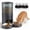 Black, variant on EDX WiFi 4L Automatic Pet Feeder with App, 7-Day Feeding Logs, 10s Voice Recorder & Dual Power, for Home/Weekend Trips, Timed Feeder for Cats & Dogs, White