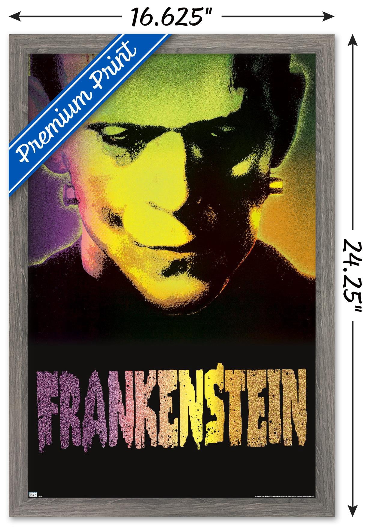 Frankenstein - Close-Up Wall Poster, 14.725" x 22.375" Framed