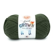 Lion Brand Local Grown Yarn - Moss