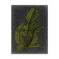 Trademark Fine Art 'Foliage Dramatique I' Canvas Art by Vision Studio