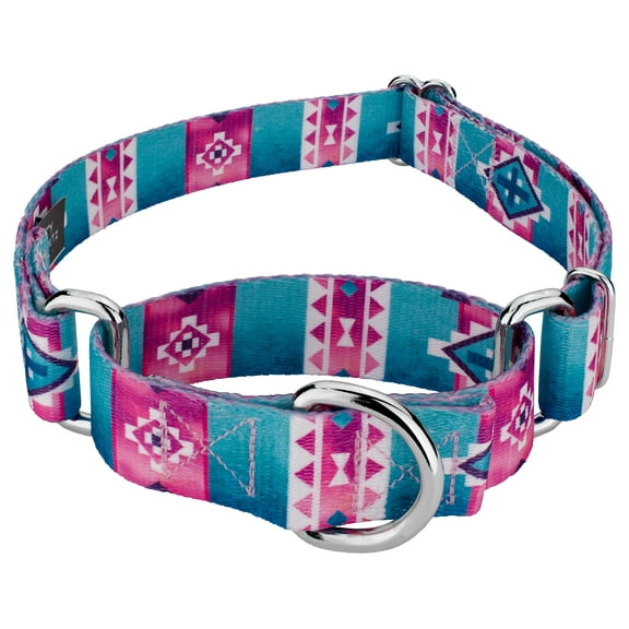 Country Brook Petz® Albuquerque Martingale Dog Collar, Extra Small