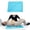 Blue, variant on Ehucon Tubular Transfer Slide Sheet 28"x39", Patient Transfer Sheet for Bed, Car, Wheelchair, Seniors & Limited Mobility, Blue
