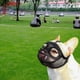 thumbnail image 5 of Bozal de perro de hocico corto, máscara para perro, bozal de malla para mascota, transpirable para cachorros Lengua Negra M, 5 of 9