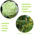 thumbnail image 3 of Artificial Flower 8pcs 24'' Silk Peony Long Stem with 2 Blossoms and 1 Bud Faux Flower for Wedding Bridal Bouquet Bridesmaid Home Décor Office Baby Shower Centerpiece(Creamy White), 3 of 5