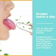 thumbnail image 2 of COCEQUC Stainless Steel Tongue Scraper for Fresh Breath and Dental Cleaning ιш &\ эю ν■ C5R5, 2 of 5