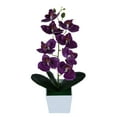 thumbnail image 2 of 1 Pot of Simulated Phalaenopsis Set Artificial Flowers in Pot Decor Orchid Flower Arrangements Faux Flowers Bouquets in Pot Table Centerpieces Holiday Dinning Coffee Room Table Kitchen Decoration, 2 of 9