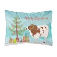 thumbnail image 1 of s Treasures BB9342PW1216 Jacob Christmas - Cojín de lona para exteriores Caroline's Treasures BB9342PW1216, 1 of 1