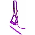 thumbnail image 2 of Jeffers Nylon Weanling Halter for Foals, Ponies, Mini Horses, Adjustable 3/4" 2-Ply Webbing, Brass Hardware, Lightweight – Purple, 2 of 5