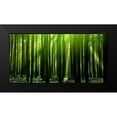 thumbnail image 2 of PhotoINC Studio 14x9 Black Modern Framed Museum Art Print Titled - Green Woods 3, 2 of 5