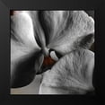 thumbnail image 2 of Bannon, Heidi 12x12 Black Modern Framed Museum Art Print Titled - Sugar Orchid, 2 of 5