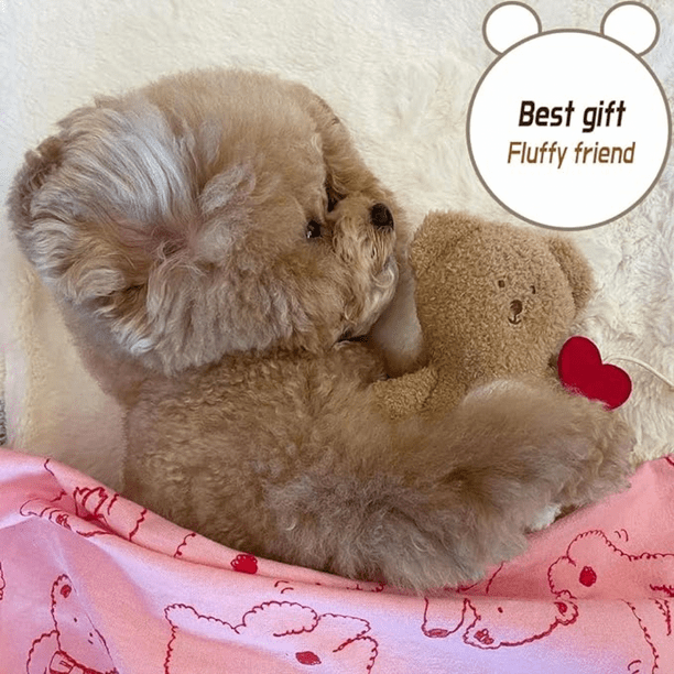 Dog inside hotsell stuffed bear