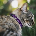 thumbnail image 2 of Buckle-Down Breakaway Cat Collar With Bell, Plastic Clip, Easy Adjustable, Crystals Purples, 8.5 to 12 Inches 0.5 Inch Wide, 2 of 4