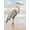 Canvas, variant on Art.com Beach Heron I Art Print by Ethan Harper, 12" x 16"