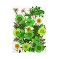thumbnail image 1 of Dried Flowers Set Scrapbooking Decorating Real are made of premium Flower Decal Handicraft Filling Pressed Specimen Label for Makeup Phone Use Type 15, 1 of 6