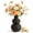 Black, variant on Boho Wicker Vase, Gourd Shaped Rattan Vase for Dried Flowers and Faux Florals, Lightweight Woven Decorative Vase for Farmhouse Rustic Home Décor, Entryway Shelf Coffee Table