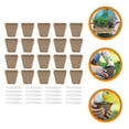 thumbnail image 3 of HOMEMAXS Biodegradable Nursery Pots for Gardening Assorted Color Recycled Paper Plant Pot 4 Inch, 3 of 7