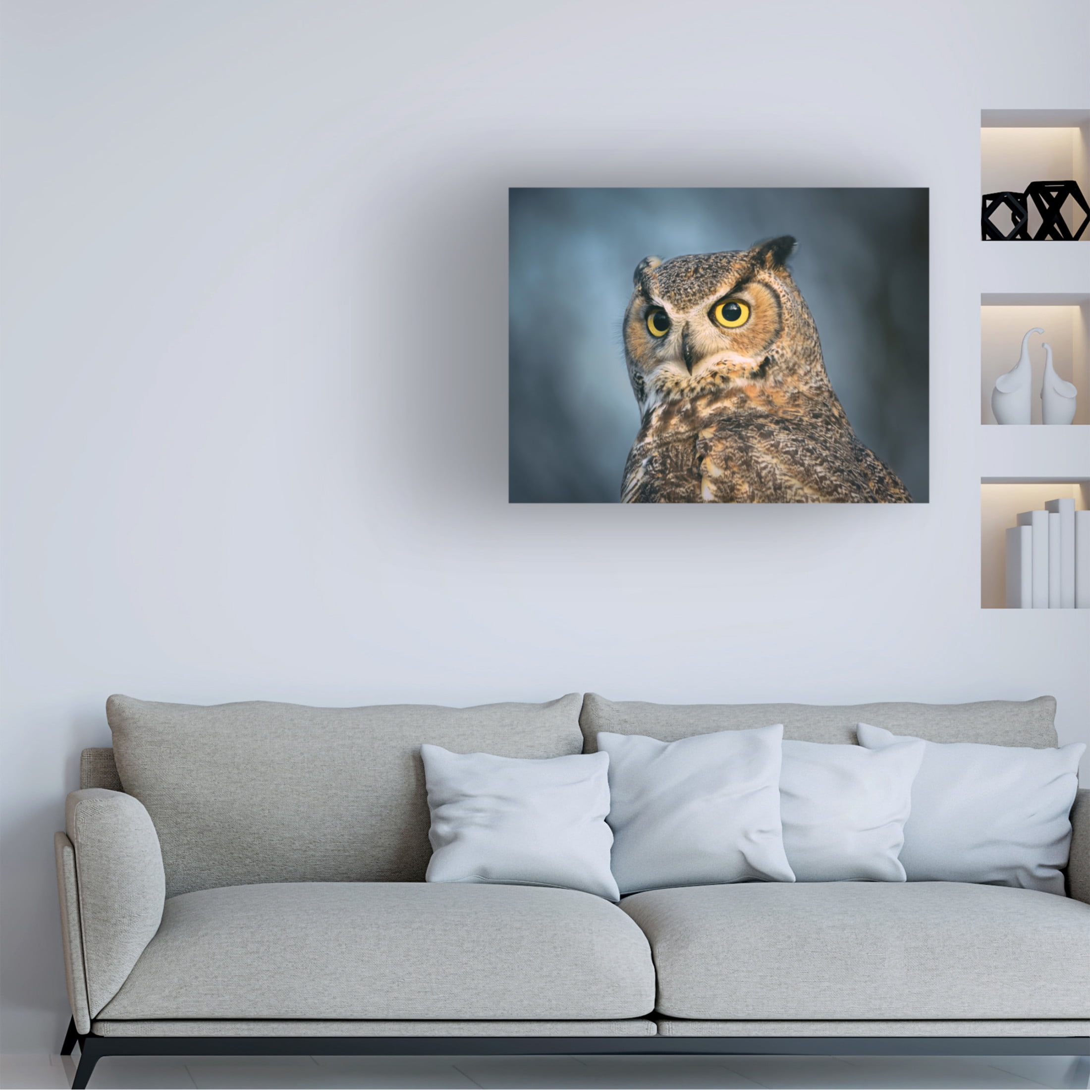Trademark Fine Art Li Chen The eyes are the windows of the soul Canvas Wall Art