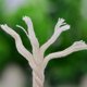 thumbnail image 5 of Soporte De Macramé Para Colgar Planta Con Gancho, 5 of 5