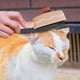 thumbnail image 4 of Peine Mejorado Para Eliminar El Pelo De Mascotas Peine Antipulgas Y Piojos Para Gatos Y Perros Cepillo Para Gatos Con Botón De Liberación Dientes De Acero Inoxidable Para Todo Tipo De Pelo, 4 of 4