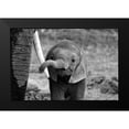 thumbnail image 2 of Alicke, Bjoern 14x11 Black Modern Framed Museum Art Print Titled - Close, 2 of 5
