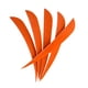 thumbnail image 4 of 12 piezas de plumas de flecha de tiro con arco de 3'', plumas naturales de pavo Naranja, 4 of 8