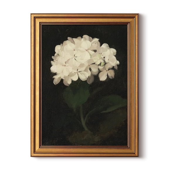 Decoración mural HUARCEY, hortensia blanca con marco dorado vintage, 30 x 40 cm