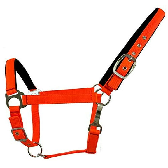 Fluorescent Nylon Neoprene Lined Adjustable Halter