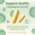 thumbnail image 4 of Snap Supplements Blood Pressure Support Pill with Cholesterol Health Beta-Sitosterol, 60 Capsules, 4 of 12
