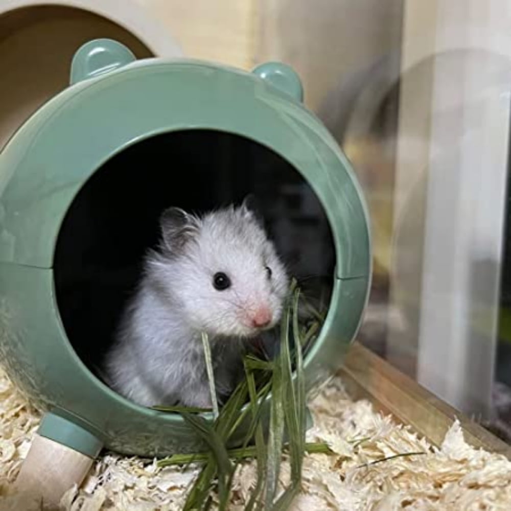 Dwarf hamster hideout cheap