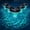 5PCS, variant on Solar Floating Pool Light with Fish Projection, 2026 Magic Fish Projection Pool Light, Mesmerizing Swimming Lights with Magical Glow in the Dark for Pools, Ponds, Fountains (5PCS)