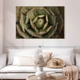 thumbnail image 2 of Elephant Stock Wooden Succulents Wall Art - Horizontal Canvas Wall Art - Living Room Wall Decor - Floral And Botanical Canvas - Brown And Green Decor - 48" x 32", 2 of 8