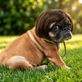 thumbnail image 4 of 7.5x5.9in Pet Cute Wig, Short Hair Dog Costume Accessory, Funny Dress-Up Hairpiece for Puppy Photo Prop Party Cosplay, 4 of 6
