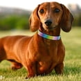 thumbnail image 4 of Soft & Safe 3M Reflective Jacquard Neoprene Padded Adjustable Dog Collar with Metal Buckle - Peacock,, 4 of 6