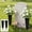 Black, variant on Ke1Clo Outdoor Ground Vases with Stakes, 2-Pack Memorial Flower Vases for Fresh Artificial Flowers, Plastic Cemetery Vase for Weddings Parties Gravesites, Green