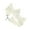 Beige, variant on Elegant Lace Neck Choker Necklace Accessory Supplies for Dating and Special Occasions Fashion Statement Pieces