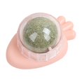thumbnail image 1 of Zanahoria Catnip Toys Treats Healthy Catnip Lickable Balls Cat Pet Supplies (Rosa), 1 of 3