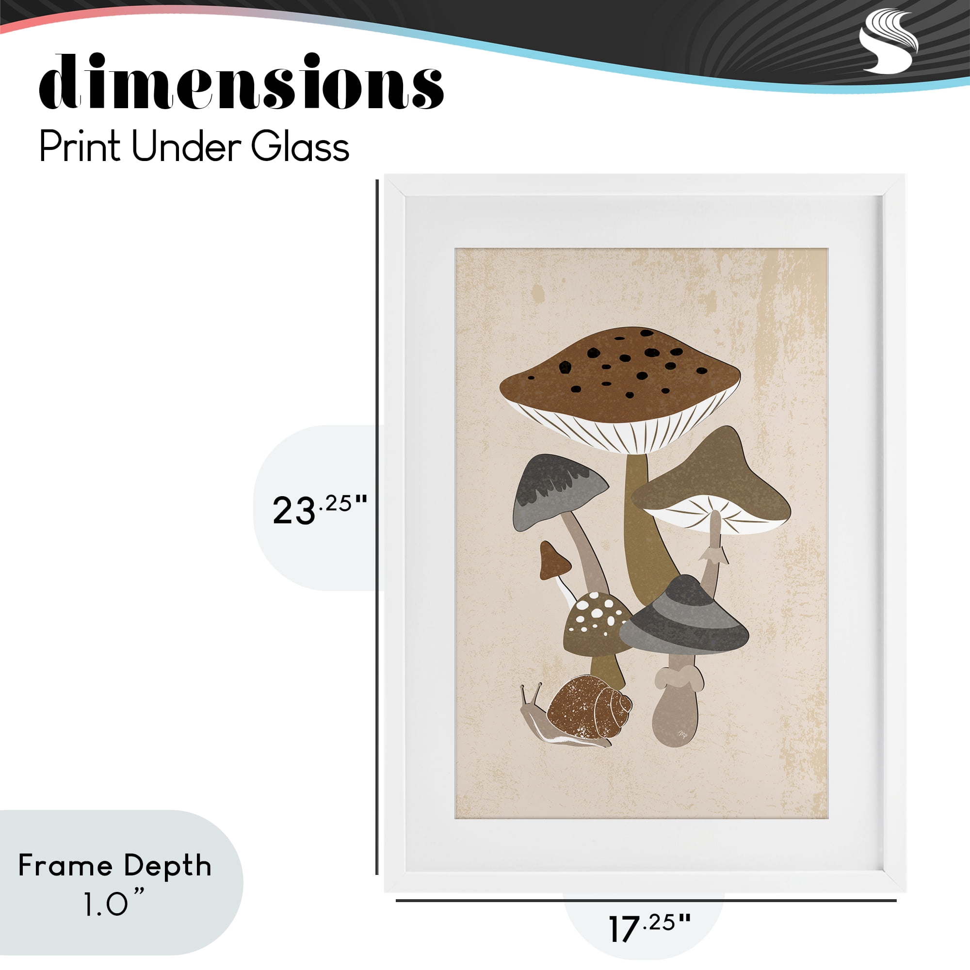 Stupell Industries Earthy Fungi Mushrooms & Snail White Framed Print Under Glass, design by Martina Pavlova