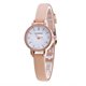 thumbnail image 1 of Price Down Sfonq Womens Watches ,Mothers Day Gift for Grilfriend Minimalist Fashion Woman Fine Strap Watch Travel Souvenir Birthday Gifts,Beige Buy 2 Save 10%, 1 of 1