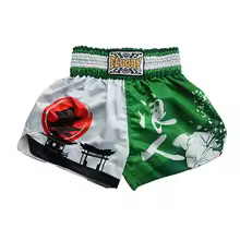 green, variant on FLUORY Muay Thai Shorts Gradient Print Free Combat Mixed Martial Arts Boxing Training Match Pants Langren Printing