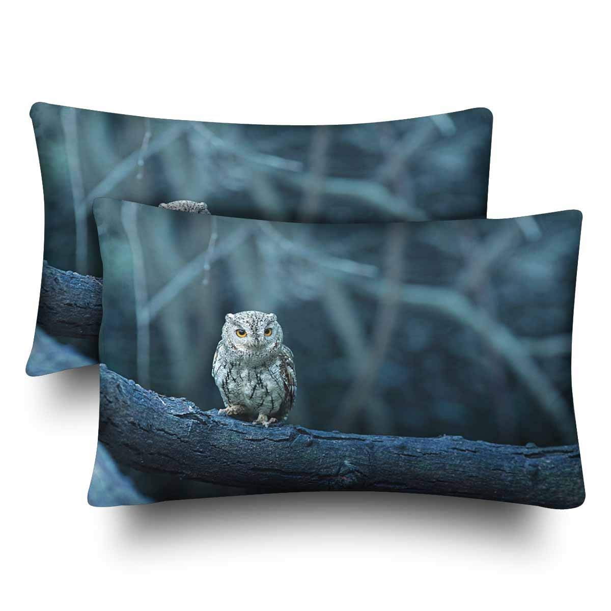 Gckg Lovely Oriental Owl Pillow Cases Pillowcase 20x30 Inches
