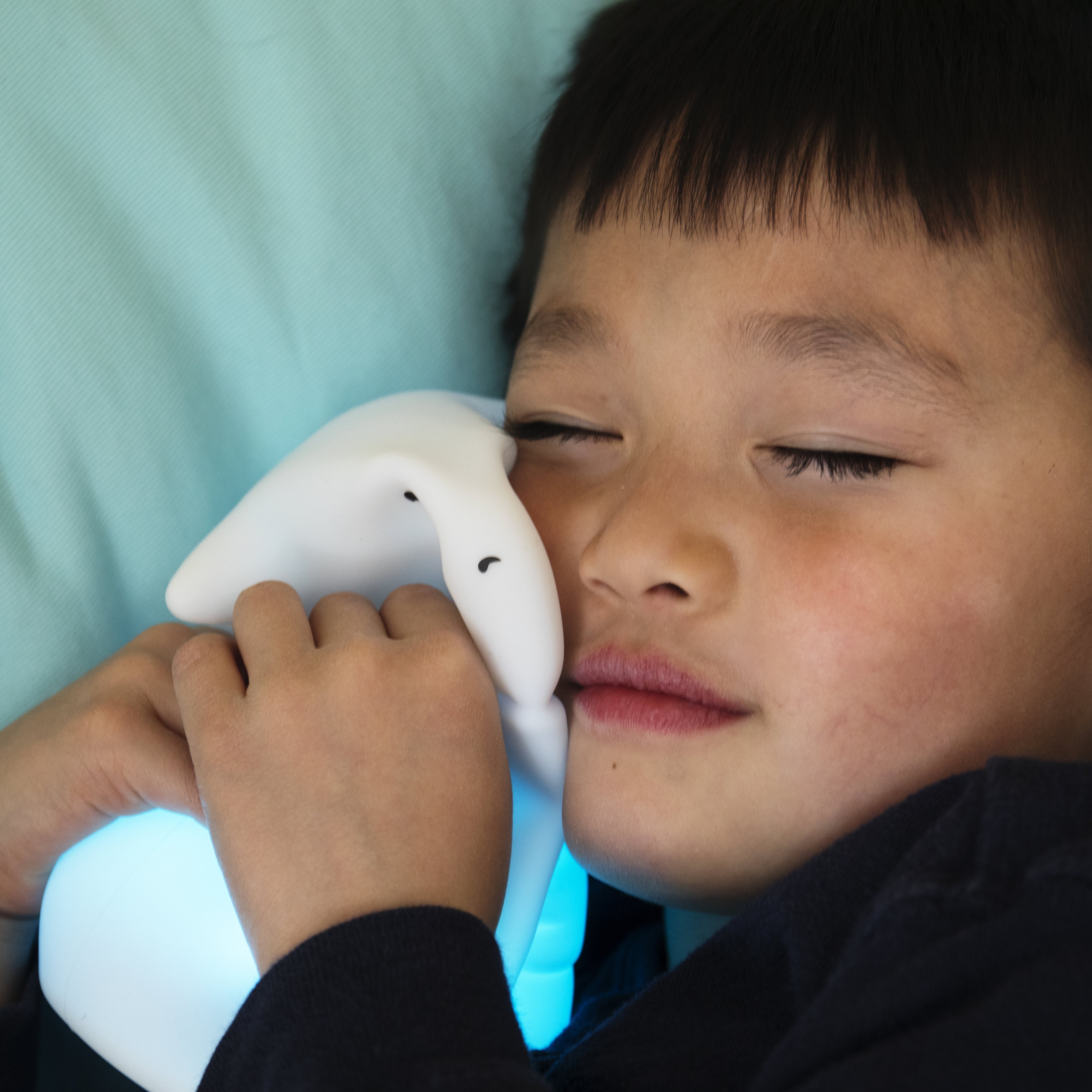 lumipets night light