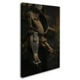 thumbnail image 2 of Trademark Fine Art 'Spurs' Canvas Art by Thom Sivo, 2 of 3