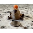 thumbnail image 4 of Juguete inquieto 3D con capibara articulado, cosas realmente asombrosas, 4 of 9