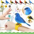 thumbnail image 4 of Voice Activated Bird Toy, Interactive Simulation Songbird, Voice Control Induction Bird for Kids, Educational Hand Eye Coordination Development Gift, Plastic Material, Battery Operated, 12x4.5x8.9cm, 4 of 4