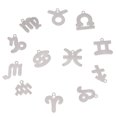 thumbnail image 3 of 12 Pcs Douze Constellations Pendentifs en Acier Inoxydable DIY Pendentifs Collier, 3 of 7