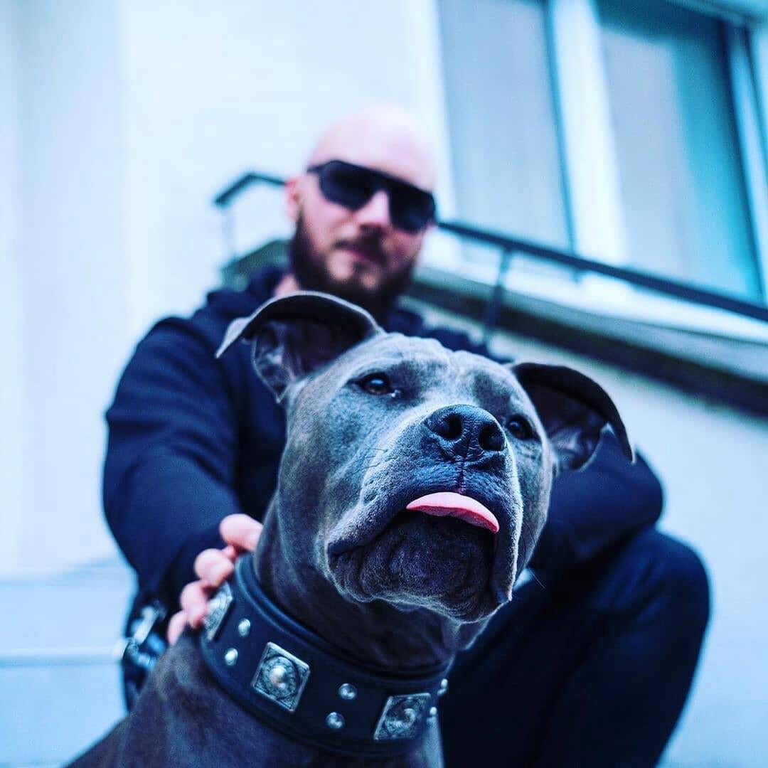 The Bestia "Eros" All Black Leather Dog Collar for Large Dog Breeds
