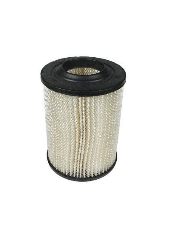 EZGO Golf Cart Air Filters in EZGO Golf Cart Filters