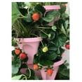thumbnail image 4 of Strawberry Planter 5-Tier Pink - Stackable Garden Pots with Saucer - Vertical Gardening for Strawberries, Herbs, Flowers - Easy Assembly, Self-Watering, 4 of 6